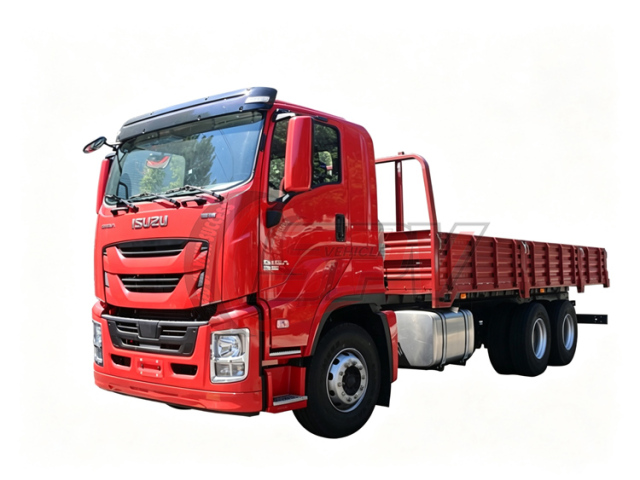 20 Ton Cargo Delivery Truck ISUZU