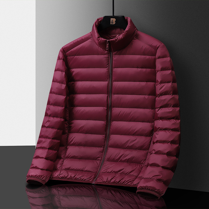 Men's Stand Collar Casual Versatile Lightweight Down Coat  ODM Service – Custom Size, Logo & Style Available