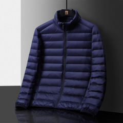 Men's Stand Collar Casual Versatile Lightweight Down Coat  ODM Service – Custom Size, Logo & Style Available