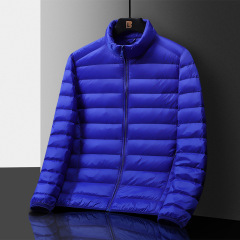 Men's Stand Collar Casual Versatile Lightweight Down Coat  ODM Service – Custom Size, Logo & Style Available