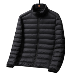 Men's Stand Collar Casual Versatile Lightweight Down Coat  ODM Service – Custom Size, Logo & Style Available