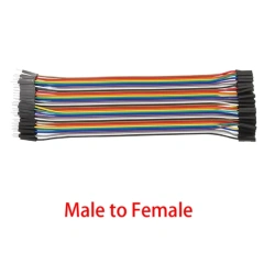 male to female