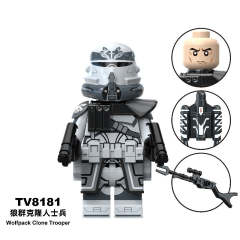 TV8181