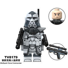 TV8179