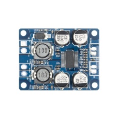 60W Single Channel Class D Amplifier Board TPA3118 Mono Power Amp Module With Mute Control For Subwoofer Home Audio Project