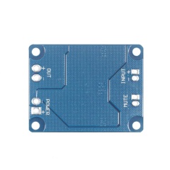 60W Single Channel Class D Amplifier Board TPA3118 Mono Power Amp Module With Mute Control For Subwoofer Home Audio Project