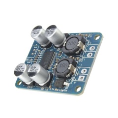 60W Single Channel Class D Amplifier Board TPA3118 Mono Power Amp Module With Mute Control For Subwoofer Home Audio Project