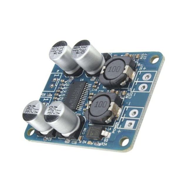 60W Single Channel Class D Amplifier Board TPA3118 Mono Power Amp Module With Mute Control For Subwoofer Home Audio Project