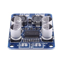 60W Single Channel Class D Amplifier Board TPA3118 Mono Power Amp Module With Mute Control For Subwoofer Home Audio Project