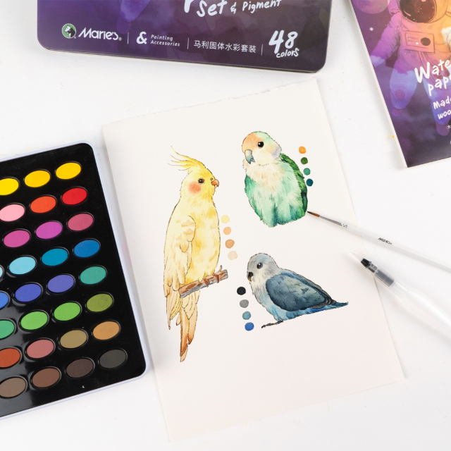 SOLID WATERCOLOUR PAINT SET