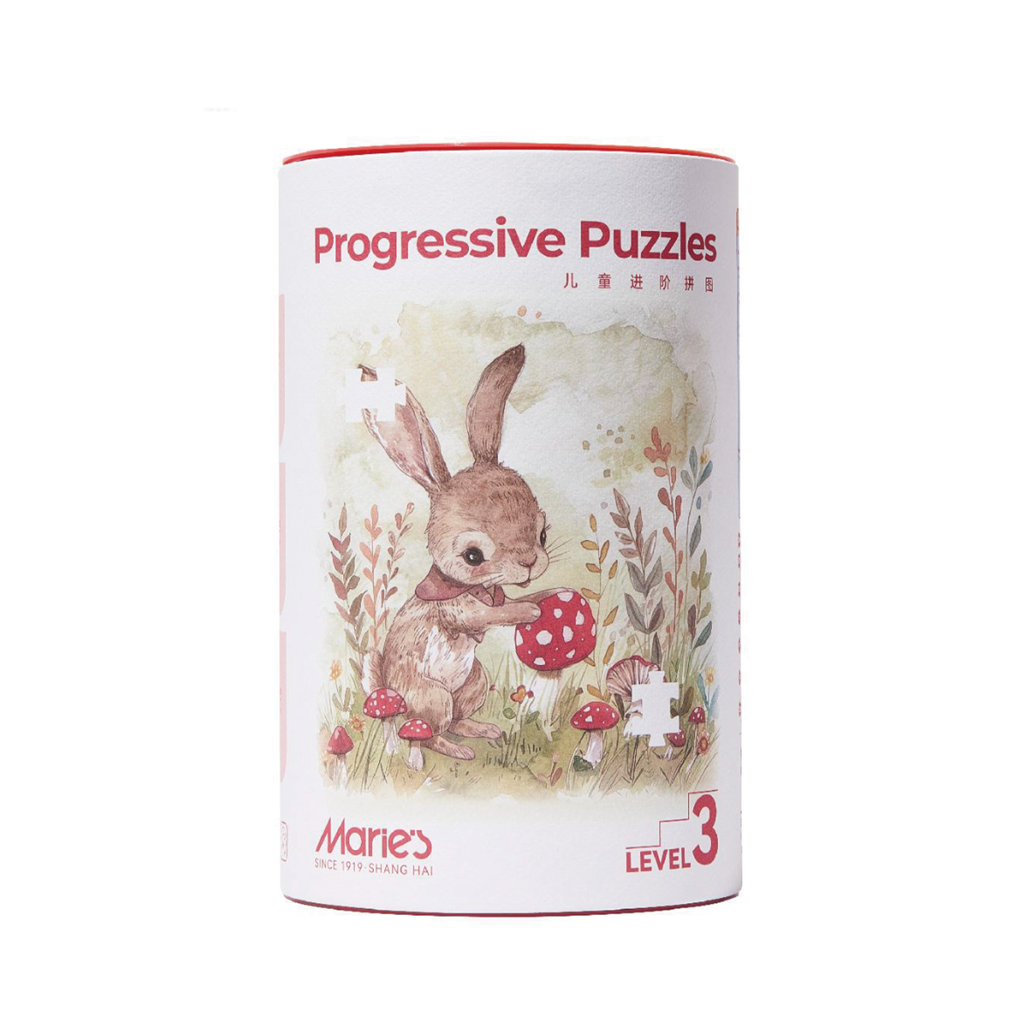 CHILDREN'S PROGRESSIVE PUZZLE  LEVEL 3