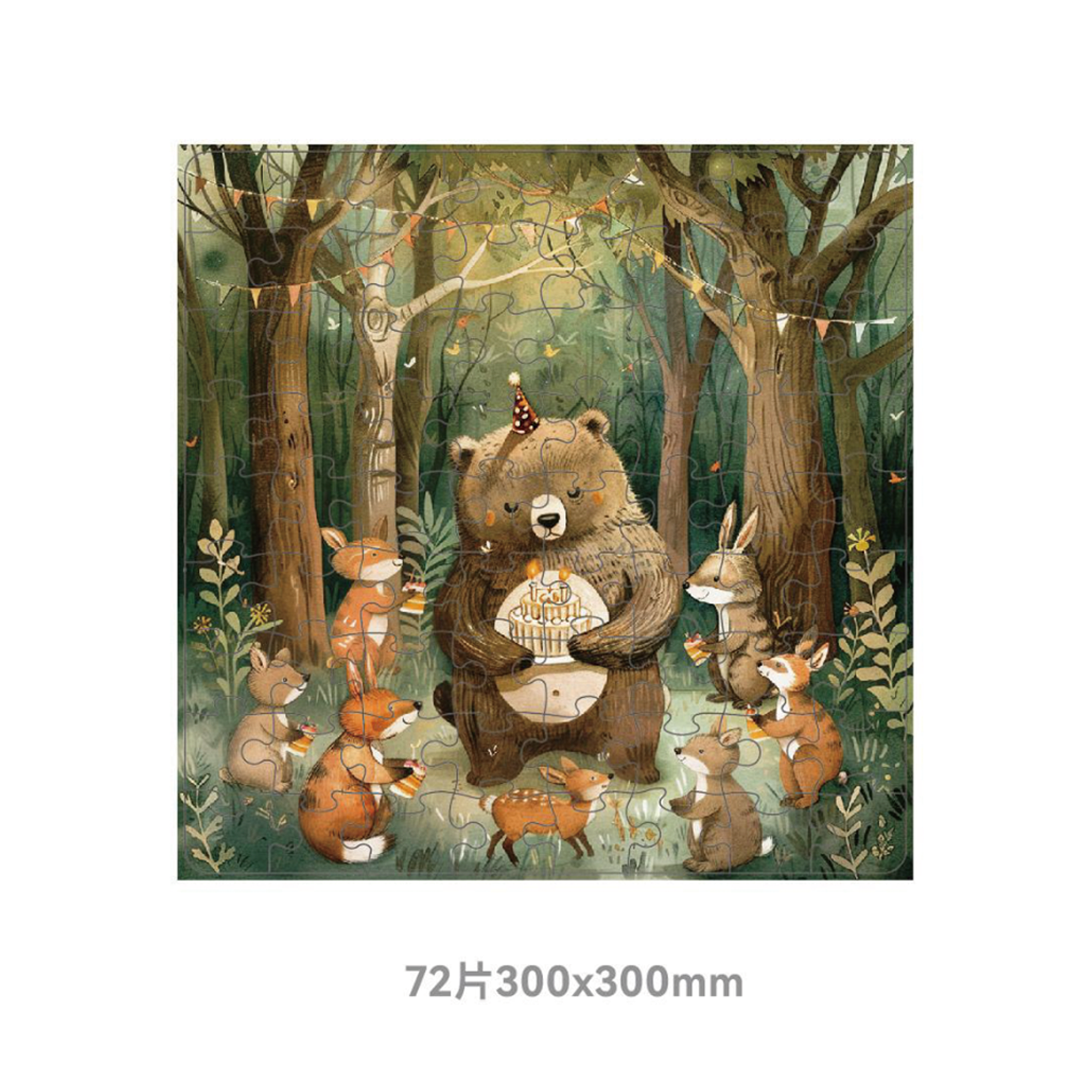 CHILDREN'S PROGRESSIVE PUZZLE  LEVEL 5