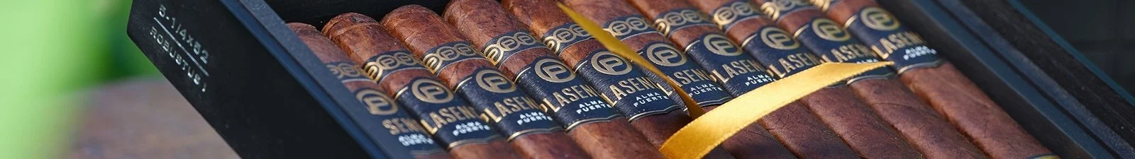 帕拉森 Plasencia 品牌横幅