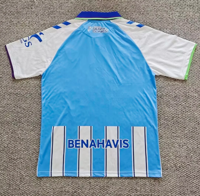 Malaga CF 26/27 Home Football Shirts SOCCER JERSEYS (FANS VERSION)