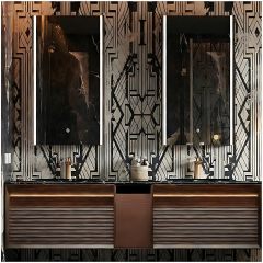 Mirror Cabinet