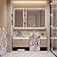Mirror Cabinet