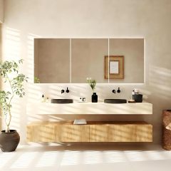 Mirror Cabinet