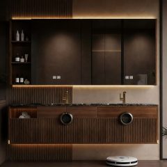 Mirror Cabinet