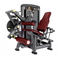 伸屈腿一体机训练器 leg curl& leg extension