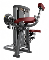 二头三头一体机训练器 Biceps/Triceps Exercises