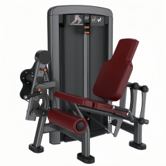 坐式伸腿训练器 Leg extension