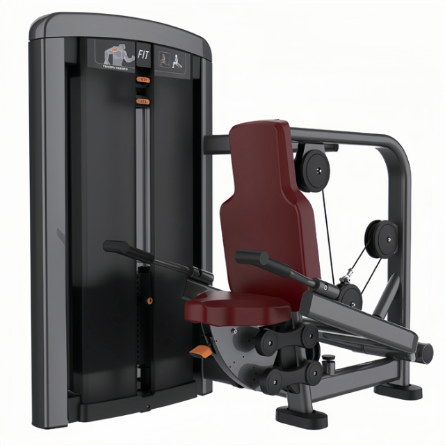 三头肌训练器 Triceps Exercises