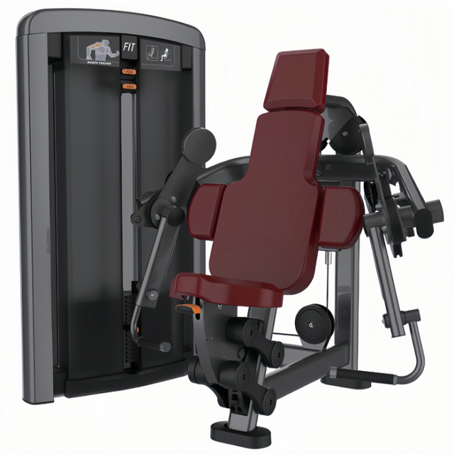 二头肌训练器 Biceps Exercises