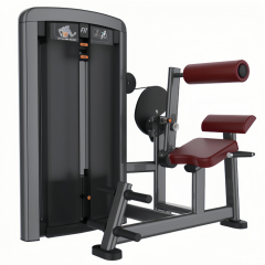 背肌伸展训练器 Back Extension