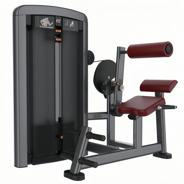 背肌伸展训练器 Back Extension