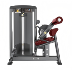 背腹肌一体机训练器 Back Extension&Abdominal Crunch