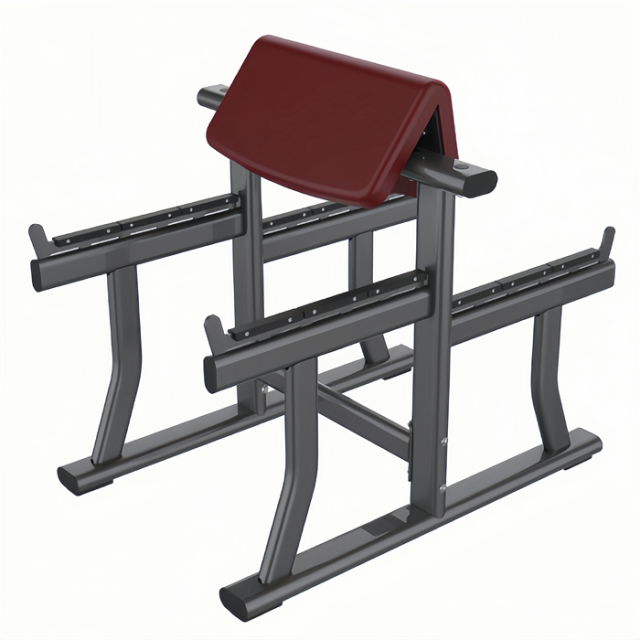 立式二头肌 Bicep Bench