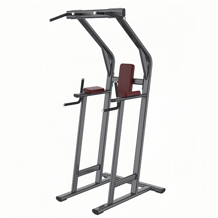 双杠提膝 Leg Lift