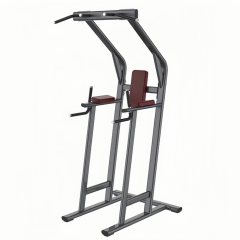 双杠提膝 Leg Lift