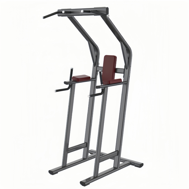 双杠提膝 Leg Lift