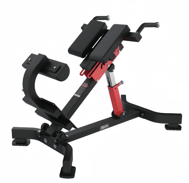 背部伸展训练器 Back Extension