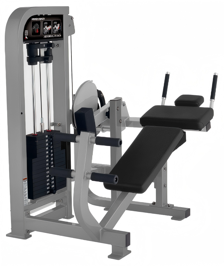 腹肌训练器 Abdominal Crunch