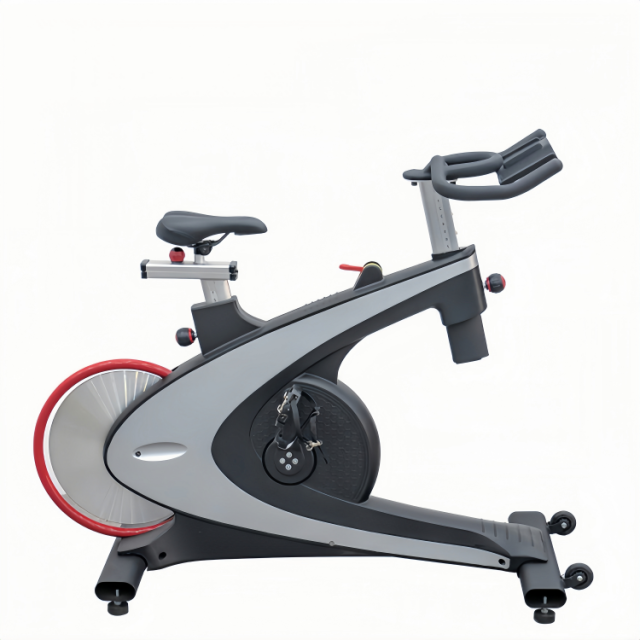 Magnetic Spinning Bike