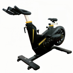 Magnetic Spinning Bike