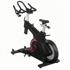 Magnetic Spinning Bike