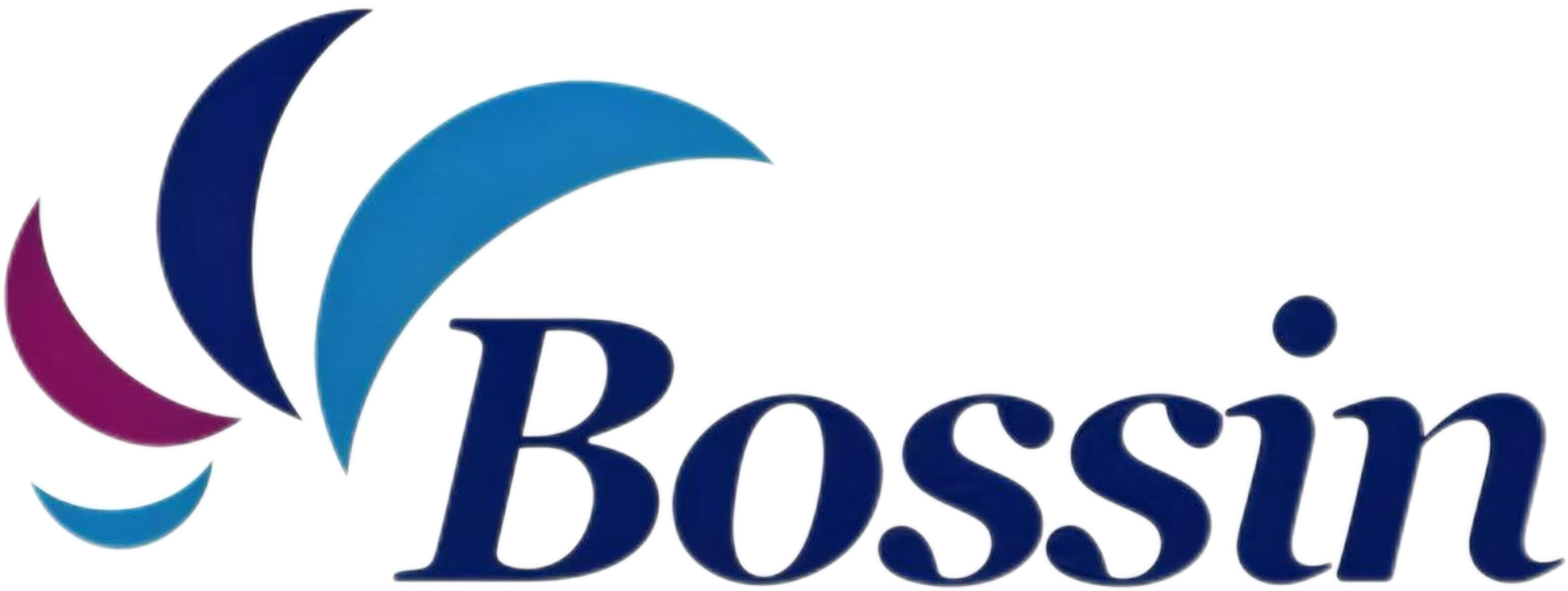 XI’AN BOSSIN METAL TECHNOLOGY CO., LTD. 