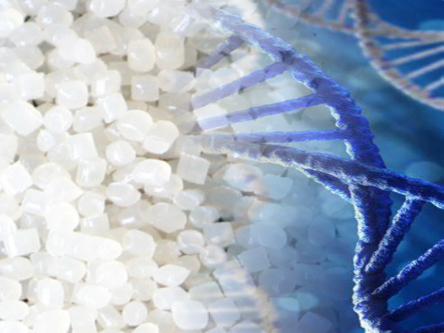 GEM Bio-Polymer System