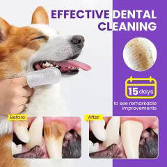Private Label Pet Dental Finger Wipes Natural Ingredients with Enzyme to Remove Plaque Tartar Dogs Cats Teeth Cleaning Wipes