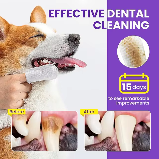 Private Label Pet Dental Finger Wipes Natural Ingredients with Enzyme to Remove Plaque Tartar Dogs Cats Teeth Cleaning Wipes