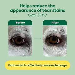 GMP Custom Manufacturing Vet-Developed Pet Eye Wipes Hypoallergenic Eye Wash Cleaner for Dogs & Cats Remove Dirt & Discharge