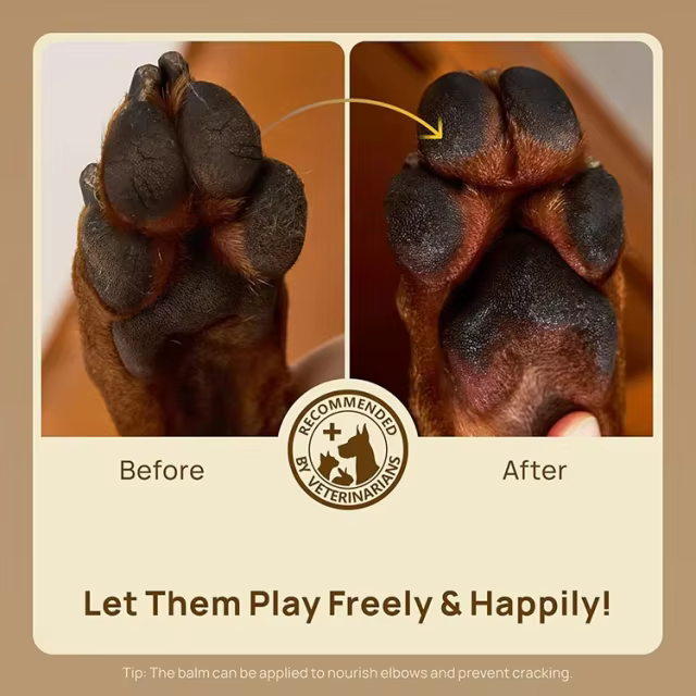 GMP Facility Custom Natural No Alcohol Preservative Free Revitalizing Dog Paw Balm with Olive Oil Nourish & Repair Damaged Paw