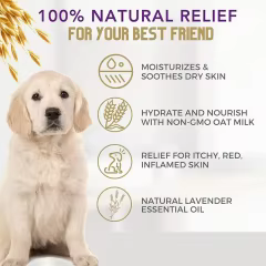 OEM All Natural Hypoallergenic Dog Deodorizing Shampoo with Aloe Oatmeal Soothing for Dry Itchy Allergy Sensitive Skin