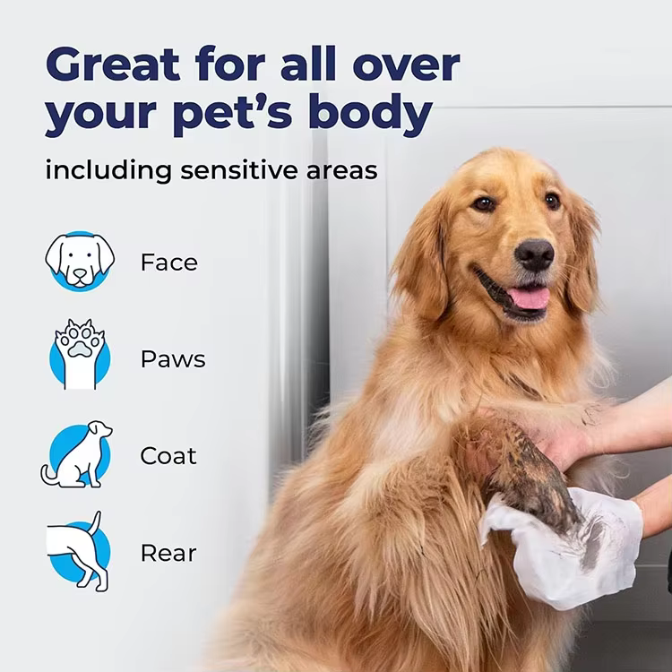 Private Label Premium Eco Organic Pet Wipes for Dogs Cats Natural Cleaning Deodorizing and Hydrating Grooming Dog Wipes