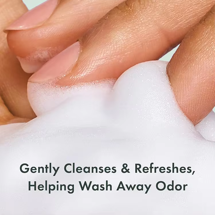 GMP Factory OEM Feminine Care Products Gentle Foaming Cleansing Wash Hypoallergenic PH Balance Intimate Wash for Women Girl