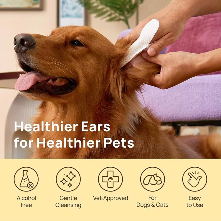 Custom Manufacturing Ultra Large Size Finger Wipes Formulated with Aloe Coconut for Dog Cats Ear Cleaning Pet Ear Care Wipes