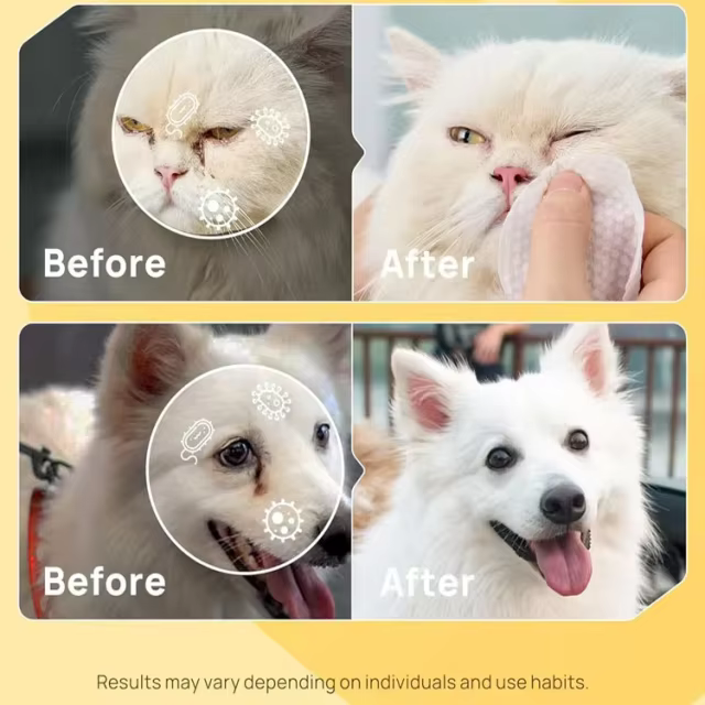 OEM Eyes Wipes Pads for Dogs Cats Coconut Oil Pet Cleaning Grooming Deodorizing Wipes Wash Cleaner for Eyes Tear Stain Remover